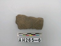 藏品(灰黑色夾砂陶片)的圖片